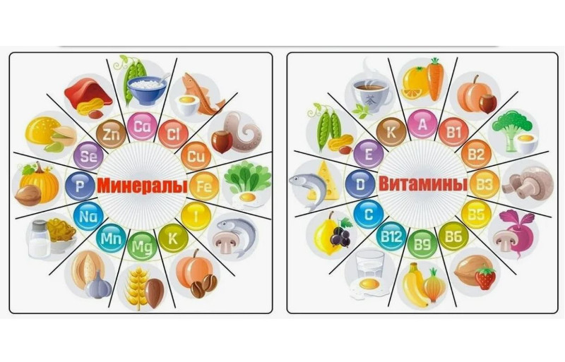 роль витаминов